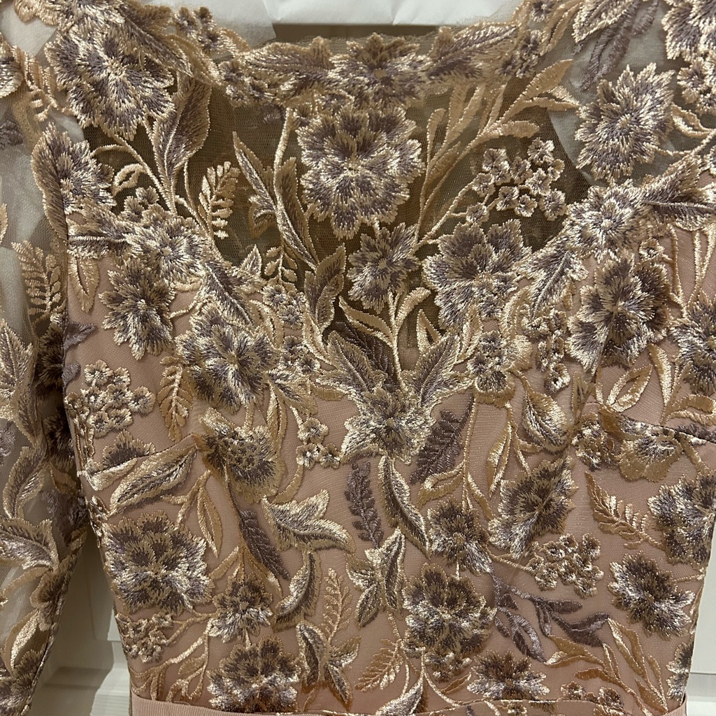 Tadashi Shoji Blush Pink And Gold Embroidered Long Sleeve Dress